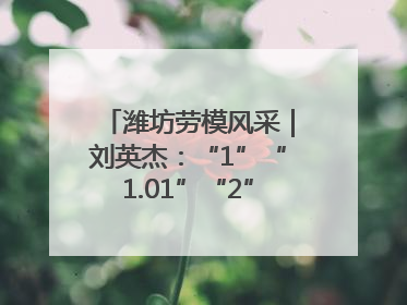 潍坊劳模风采｜刘英杰：“1”“1.01”“2”背后的奋斗密码