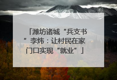 潍坊诸城“兵支书”李炜：让村民在家门口实现“就业”