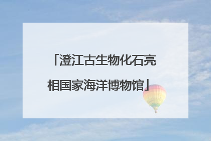 澄江古生物化石亮相国家海洋博物馆