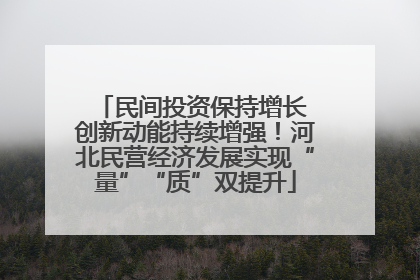 民间投资保持增长 创新动能持续增强！河北民营经济发展实现“量”“质”双提升