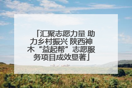 汇聚志愿力量 助力乡村振兴 陕西神木“益起帮”志愿服务项目成效显著