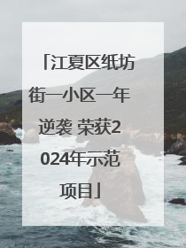 江夏区纸坊街一小区一年逆袭 荣获2024年示范项目