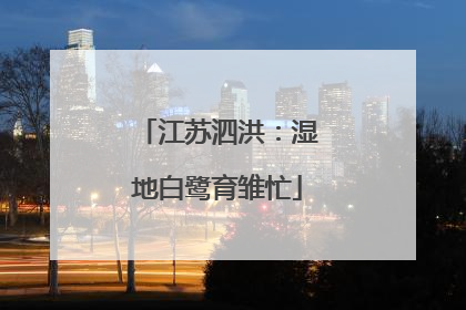 江苏泗洪：湿地白鹭育雏忙