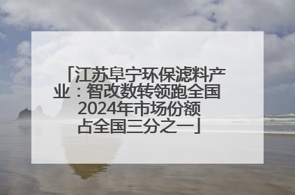 江苏阜宁环保滤料产业：智改数转领跑全国 2024年市场份额占全国三分之一