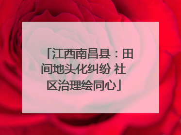 江西南昌县：田间地头化纠纷 社区治理绘同心