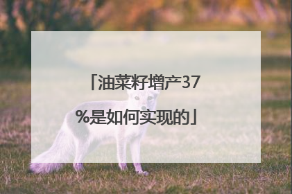 油菜籽增产37%是如何实现的