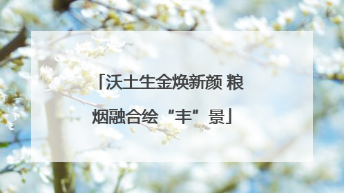 沃土生金焕新颜 粮烟融合绘“丰”景