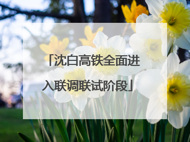 沈白高铁全面进入联调联试阶段