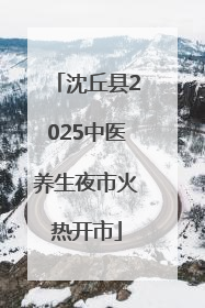 沈丘县2025中医养生夜市火热开市