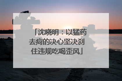 沈晓明：以猛药去疴的决心坚决刹住违规吃喝歪风