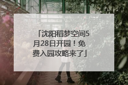 沈阳稻梦空间5月28日开园！免费入园攻略来了