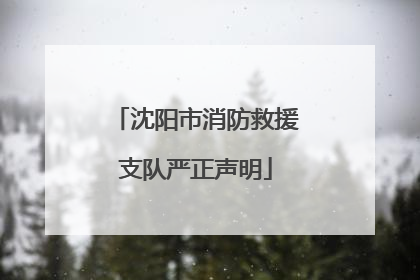 沈阳市消防救援支队严正声明