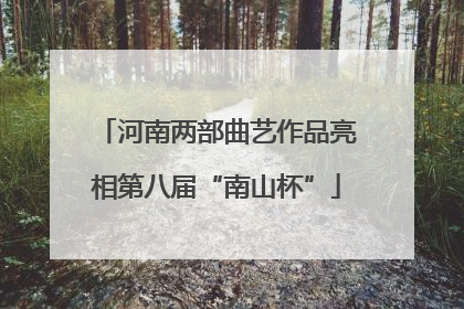河南两部曲艺作品亮相第八届“南山杯”