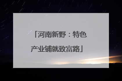 河南新野：特色产业铺就致富路