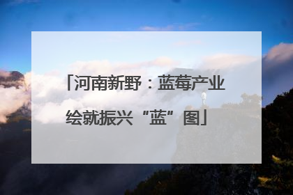 河南新野：蓝莓产业绘就振兴“蓝”图