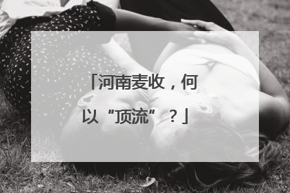 河南麦收，何以“顶流”？