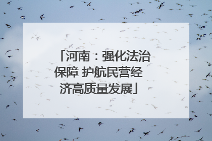 河南：强化法治保障 护航民营经济高质量发展