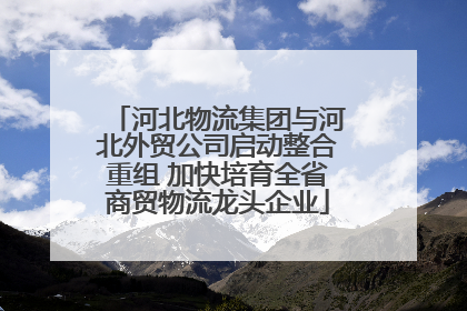 河北物流集团与河北外贸公司启动整合重组 加快培育全省商贸物流龙头企业