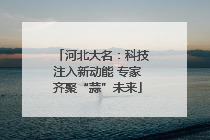 河北大名：科技注入新动能 专家齐聚“蒜”未来