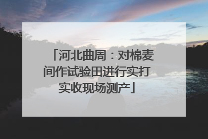 河北曲周：对棉麦间作试验田进行实打实收现场测产