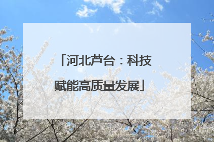 河北芦台：科技赋能高质量发展