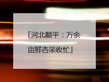 河北顺平：万余亩鲜杏采收忙