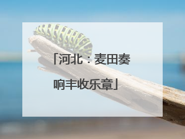 河北：麦田奏响丰收乐章