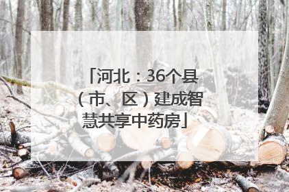 河北：36个县（市、区）建成智慧共享中药房