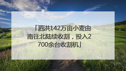 泗洪142万亩小麦由南往北陆续收割，投入2700余台收割机
