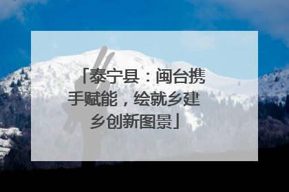 泰宁县：闽台携手赋能，绘就乡建乡创新图景