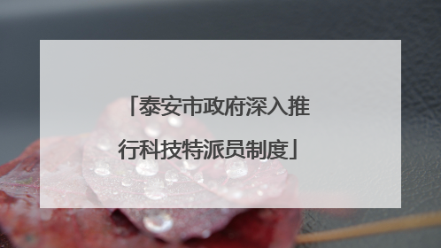 泰安市政府深入推行科技特派员制度