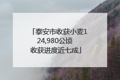 泰安市收获小麦124,980公顷 收获进度近七成