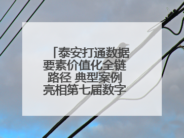 泰安打通数据要素价值化全链路径 典型案例亮相第七届数字中国建设峰会