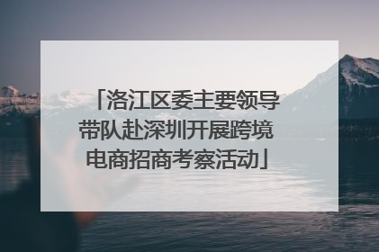 洛江区委主要领导带队赴深圳开展跨境电商招商考察活动