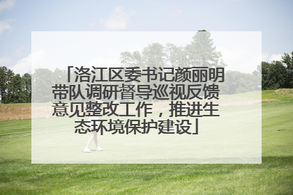 洛江区委书记颜丽明带队调研督导巡视反馈意见整改工作，推进生态环境保护建设