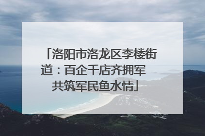 洛阳市洛龙区李楼街道：百企千店齐拥军 共筑军民鱼水情