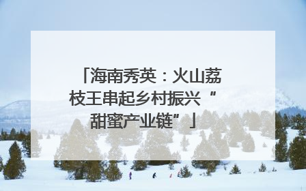 海南秀英：火山荔枝王串起乡村振兴“甜蜜产业链”