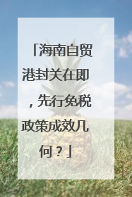海南自贸港封关在即，先行免税政策成效几何？