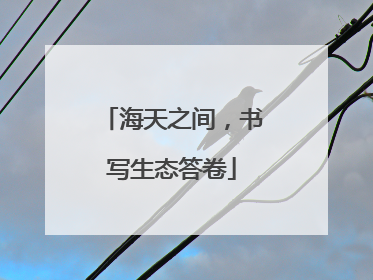 海天之间，书写生态答卷