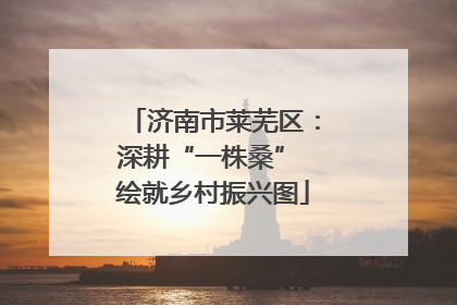 济南市莱芜区：深耕“一株桑” 绘就乡村振兴图
