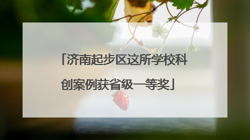 济南起步区这所学校科创案例获省级一等奖