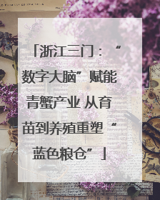 浙江三门：“数字大脑”赋能青蟹产业 从育苗到养殖重塑“蓝色粮仓”