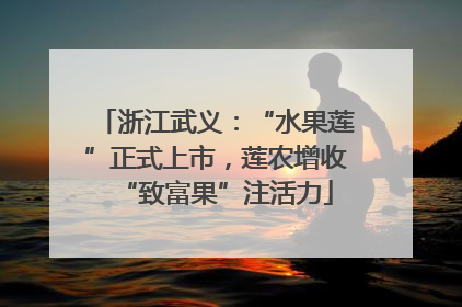 浙江武义：“水果莲”正式上市，莲农增收“致富果”注活力