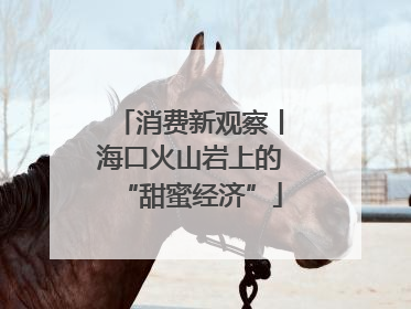 消费新观察丨海口火山岩上的“甜蜜经济”