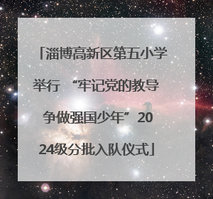 淄博高新区第五小学举行 “牢记党的教导 争做强国少年”2024级分批入队仪式