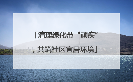 清理绿化带“顽疾”，共筑社区宜居环境