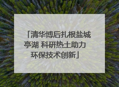 清华博后扎根盐城亭湖 科研热土助力环保技术创新