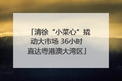 清徐“小菜心”撬动大市场 36小时直达粤港澳大湾区