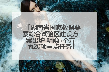 湖南省国家数据要素综合试验区建设方案出炉 明确5个方面20项重点任务