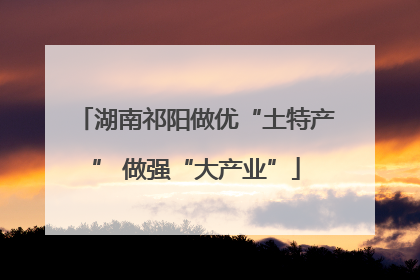 湖南祁阳做优“土特产” 做强“大产业”